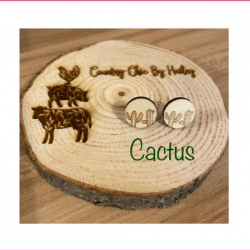 Stud Earrings