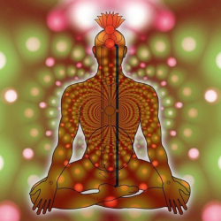 Energy & Chakra Alignment 