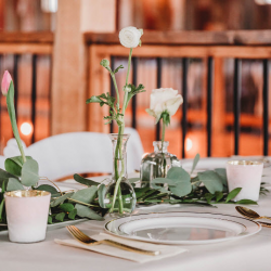 Social Gatherings and Celebrations