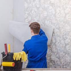 Wallpaper Installation