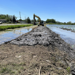 Dike restoration