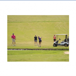 Tournament Organization