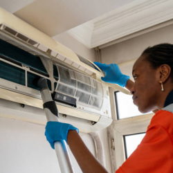 Professional Clean Up