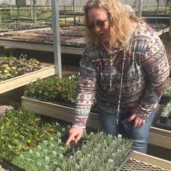 Landscaping Consultation