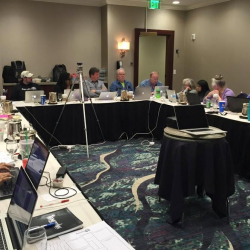 Online Reputation Management