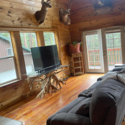 Move-In/Move-Out Cleaning