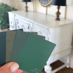 Paint Color Matching