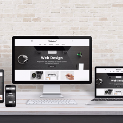 Website Design and Development