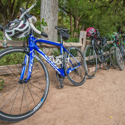 Bike Rentals