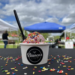 Single Scoop Ice Cream