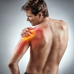 Re-structuring of Muscle