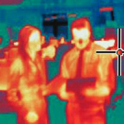 Elevated Skin Temperature Systems