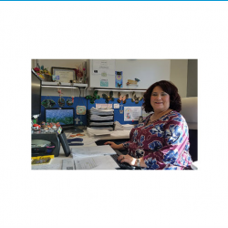 Professional Support