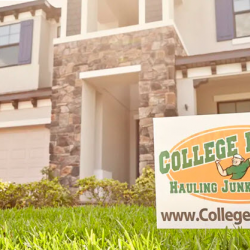  Home Staging Services 