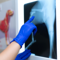 Radiology and Imaging