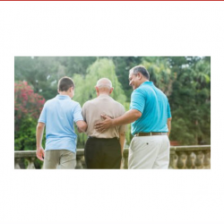 Lifelong Learning Opportunities