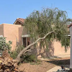 Restoration, Remodel & New Builds