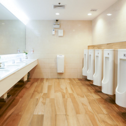 Toilet and Fixture Installations