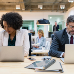 Website Design and Development