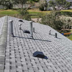 Roof Maintenance