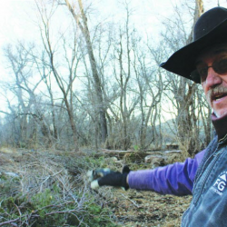 Advertising Solutions