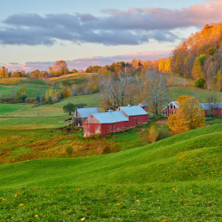 Farm Insurance