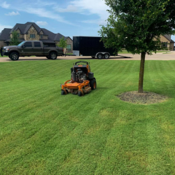 Lawn Maintenance