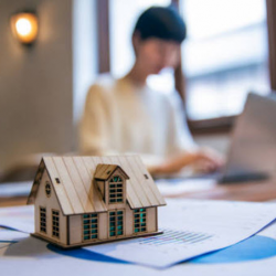 Intellectual Property