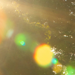 Protect the Environment