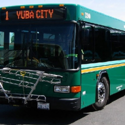 Bike Racks on Buses