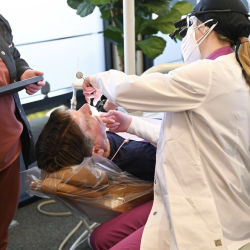 Dental Cleanings