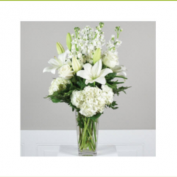 Sympathy & Funeral Flowers