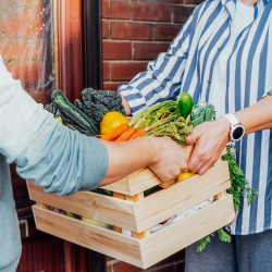 Organic Produce Delivery
