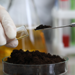 Soil Analysis and Testing