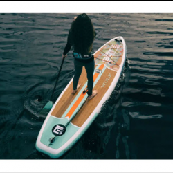 Stand Up Paddle Board