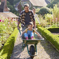 Savings Accounts – Money Market, CDs, IRAs