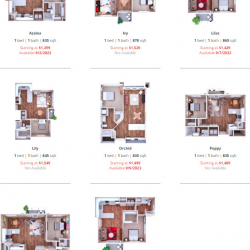 1-BEDROOM APARTMENTS