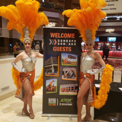 Orange Showgirls