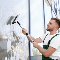 Window Cleaning Services