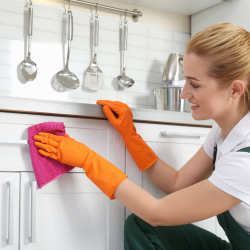 Kitchen Cleaning