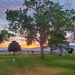 Camp Floyd Cemetery