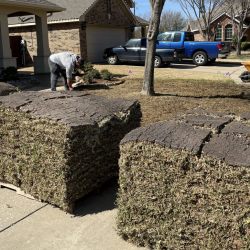 Sod Repair and Installation