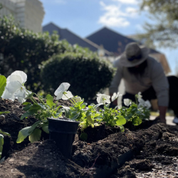 Seasonal Flower Bed Refreshes