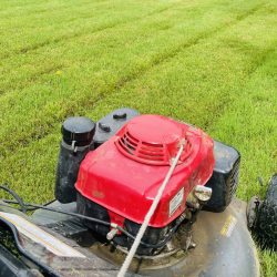 Commercial and Residential Turf Maintenance