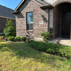 Schedule Appointment