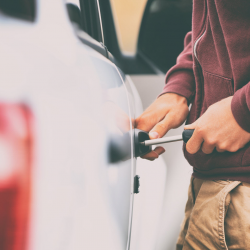 Theft Law
