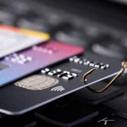 Fraud Law