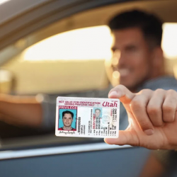 Driving Privilege Cards