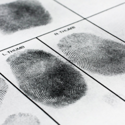 Wet/Black Ink Fingerprinting