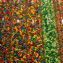 SOFTWARE AS A SERVICE